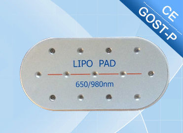Laser non envahissant de Lipo amincissant la machine, grosse machine de élimination pour des femmes
